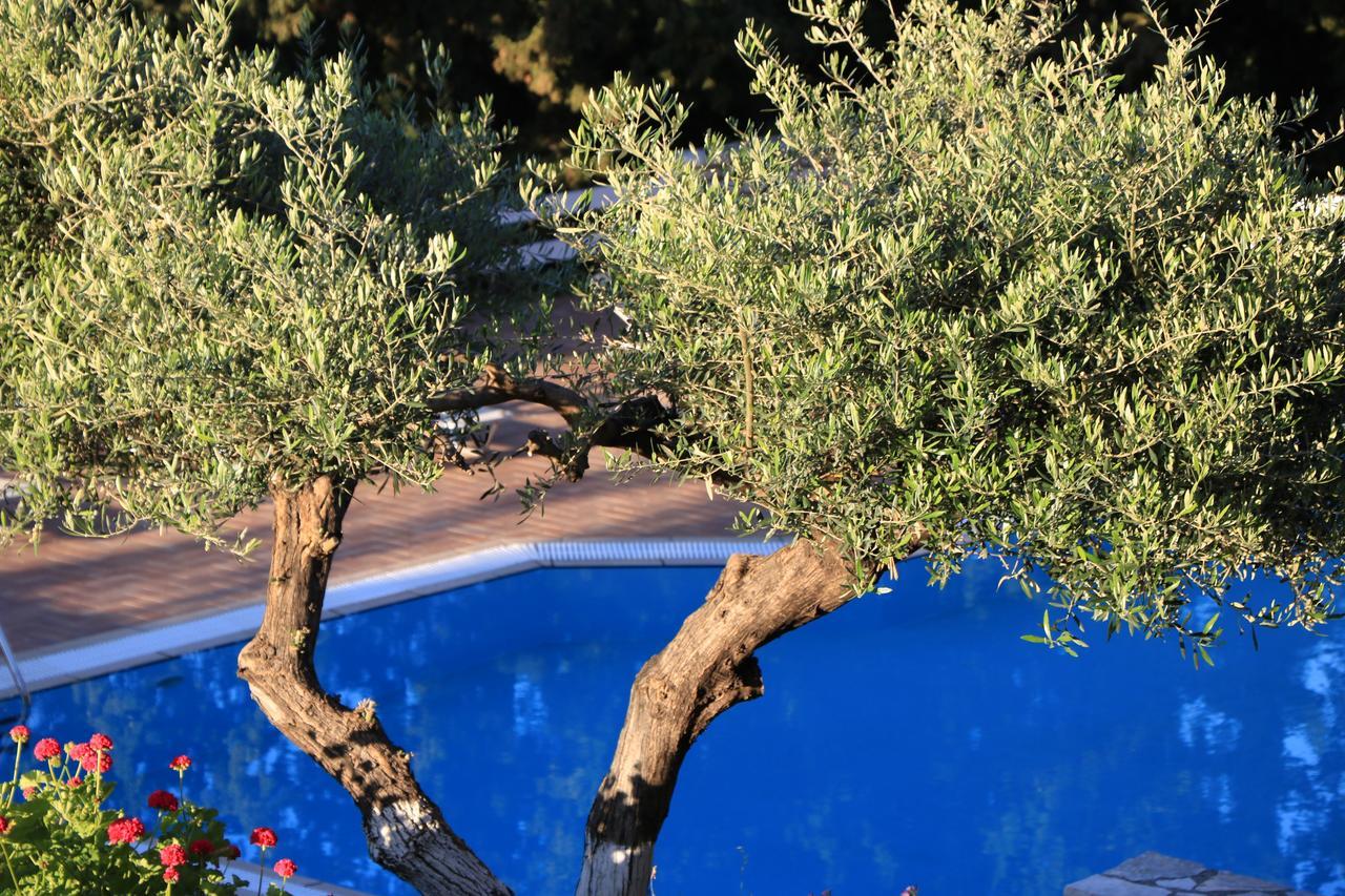 Myrto Homes Lefkada Agios Nikitas Greece ภายนอก รูปภาพ
