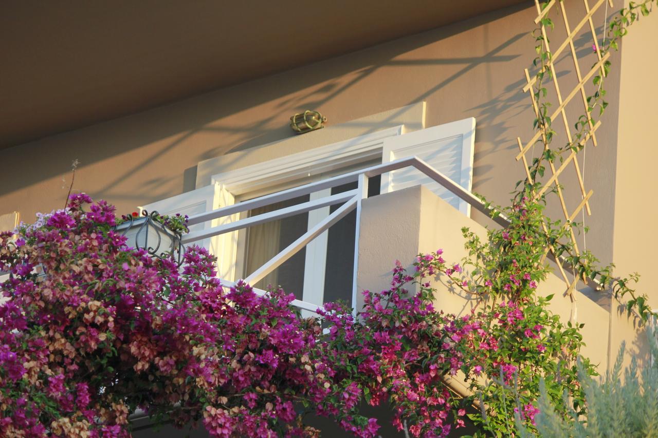 Myrto Homes Lefkada Agios Nikitas Greece ภายนอก รูปภาพ